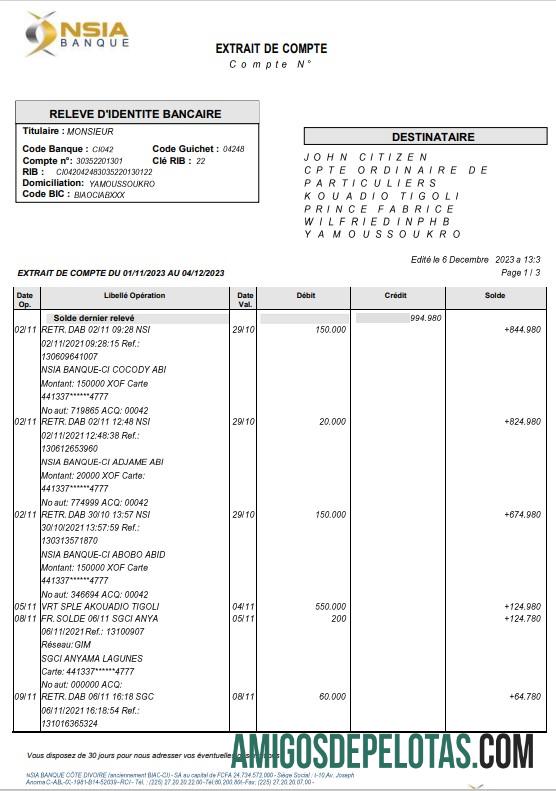 Declaração Bancária NSIA da França para impressão, modelo Word e PDF, 4 páginas